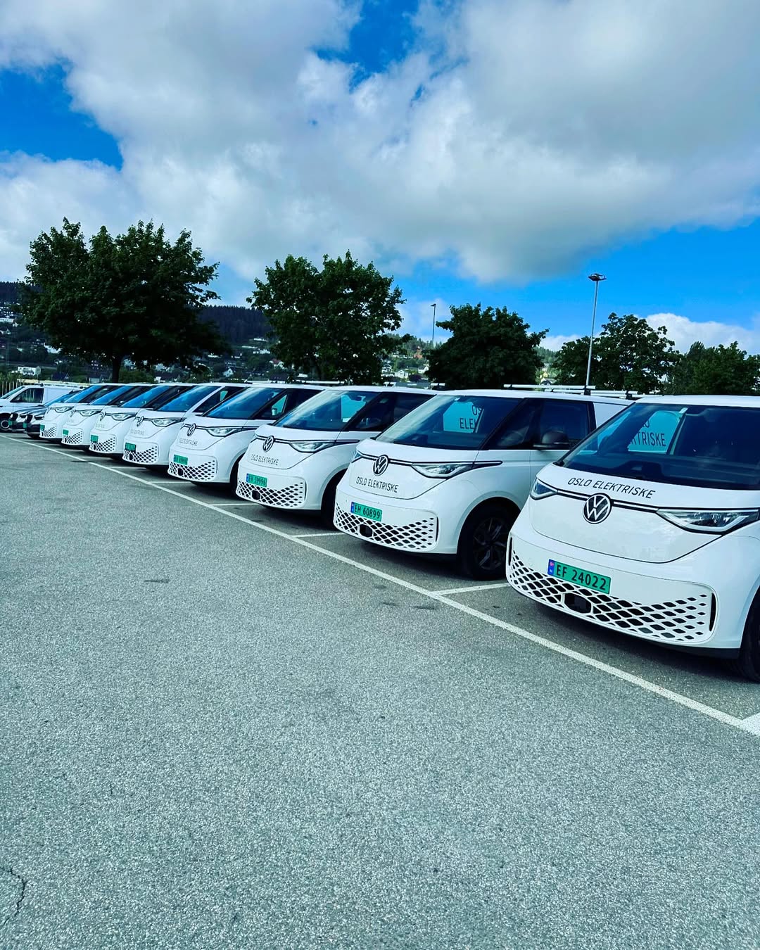 Elektriker til restaurant og servering